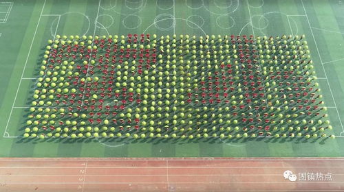 固镇县实验小学教育集团第十四届趣味运动会 全程航拍图片