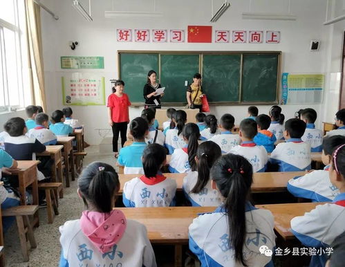 新的学期,从 新 开始 金乡县实验小学教育集团山阳书院附属小学迎来开学季