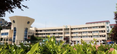 缙云实验小学