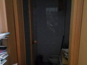 图 文化路小学 迎胜中学 实验设备厂宿舍 空调两台 领包入住 泰安租房 泰安列表网