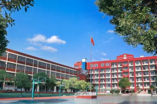 信阳市第三实验小学篇