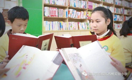 语言艺术 共筑星光长河 西樵实验小学 star 课程体系下精品课程建设
