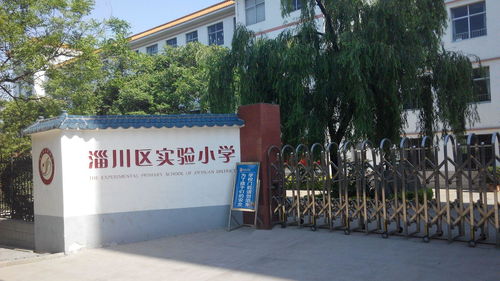 淄川区实验小学 培育未来,点亮梦想
